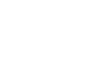 Wazdan Logo